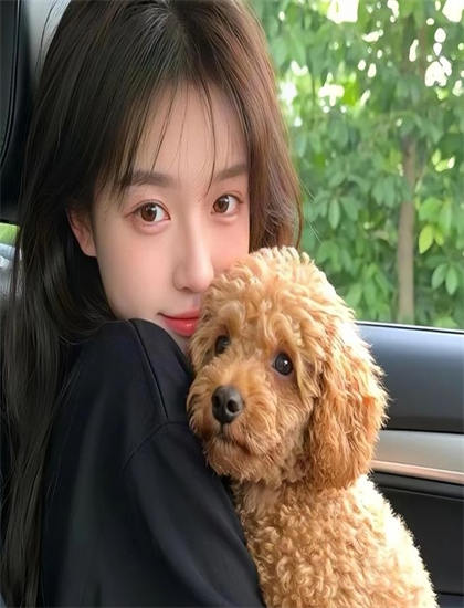 出轨电影-为何中国人不再热衷欧美日韩游